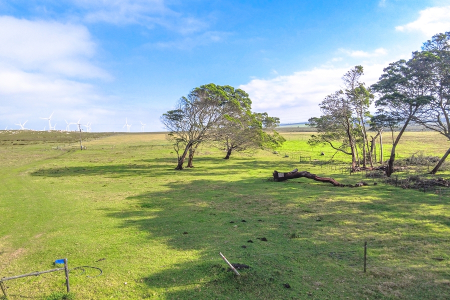 0 Bedroom Property for Sale in Humansdorp Rural Eastern Cape